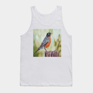 American Robin - bird painting Tank Top